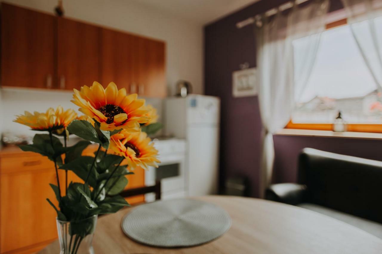 Apartmani Marin Vukovar Εξωτερικό φωτογραφία