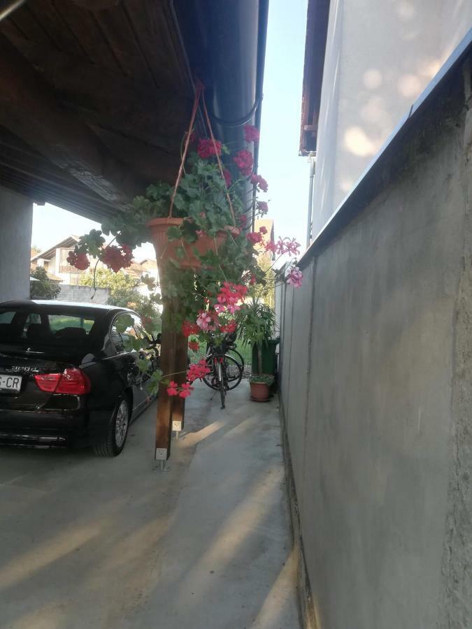 Apartmani Marin Vukovar Εξωτερικό φωτογραφία